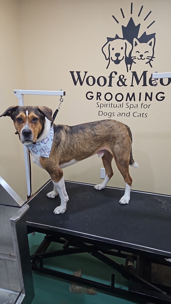 0A10DF3C-1004-4EB9-BF0D-687B46B48EFC_1_105_c